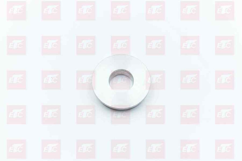 L913212400 Поршень цилиндра ПМ РКП — 1