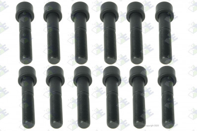 ER 74170571 Болт M16*2*85