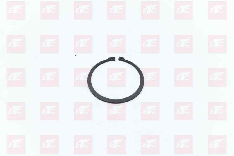 Q310080000 Кольцо стопорное — 1