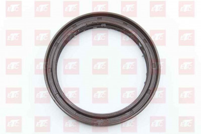 WG7117329002 Сальник