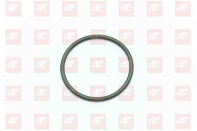 201V06904-0049 Уплотнение термостата