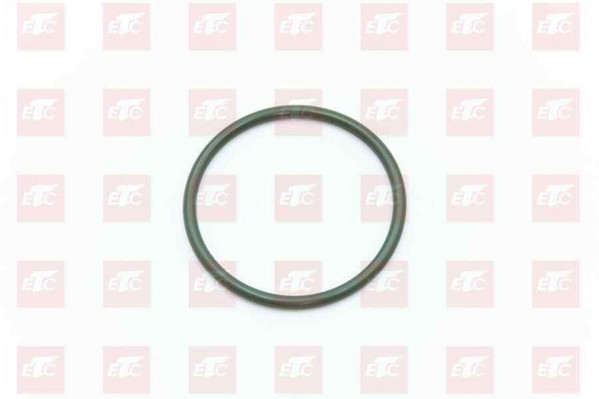 201V06904-0049 Уплотнение термостата — 1