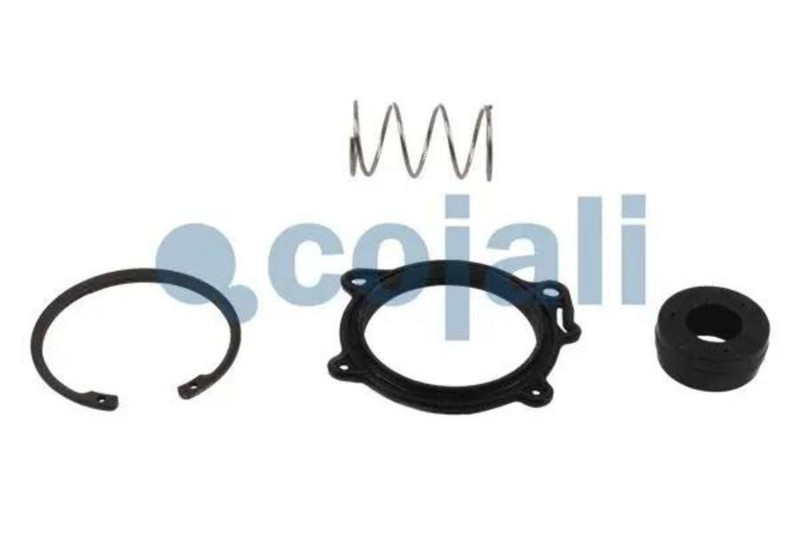 6014048 Р/к модулятора EBS — 2