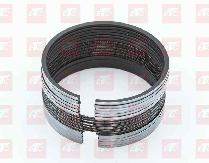 202V02503-6005 Набор поршневых колец к-кт на ДВС — 1