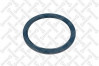 8101358SX Сальник ступицы 145*175*14, миниатюра — 0