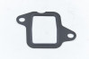 612600116551 Прокладка впускного коллектора WP12.430 / WP12.375, миниатюра — 0