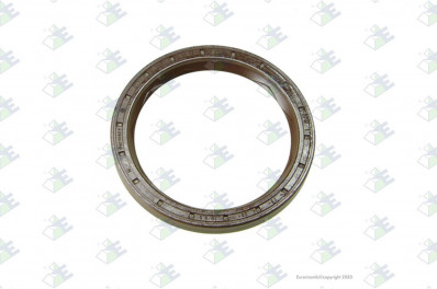 ER 60171091 Радиальное уплотнение вала 75*95*10/9,5