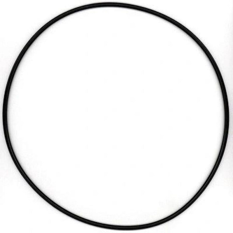 315621 Кольцо уплотнительное 255*5 — 1