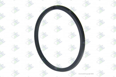 ER 95532550 Кольцо 100,20*88,40*4,80 MM ZF 0750112097