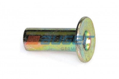 55605 Заклепка 8*20 к-т 100 шт