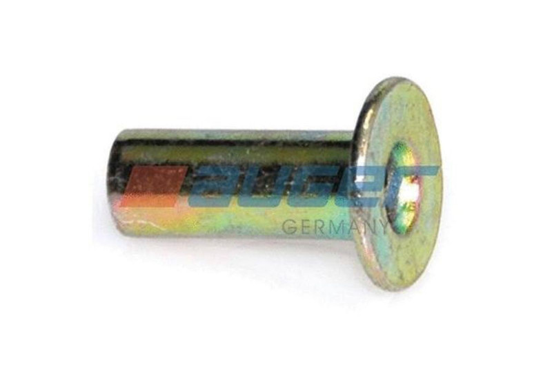 55605 Заклепка 8*20 к-т 100 шт — 1