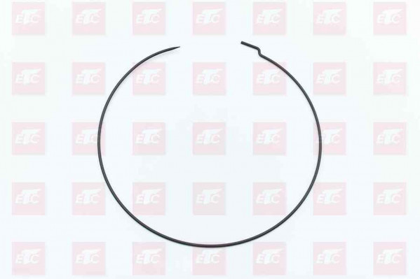 710W90810-0074 Стопорное кольцо бортового редуктора — 1