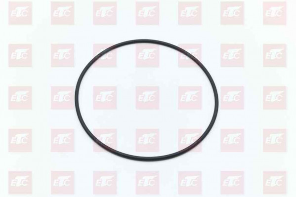 WG9925520062 Сальник балансира — 1