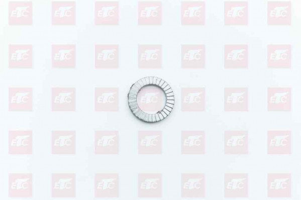 WG9000310010 Стопорная шайба — 1