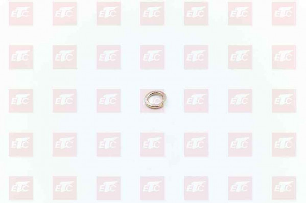 Q40310 Пружинная шайба — 1