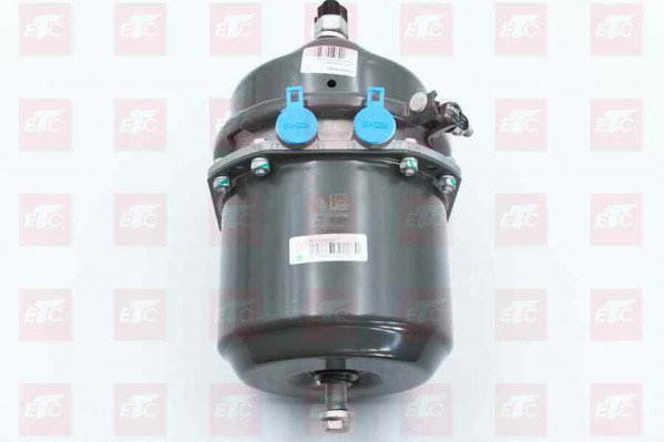 WG9000360660 Энергоаккумулятор задний короткий шток — 1