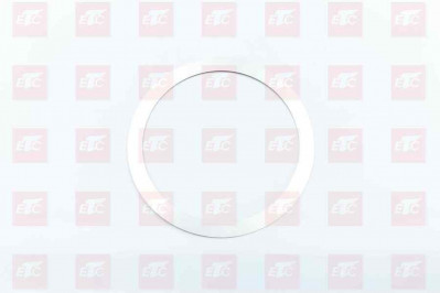 DP12010015 Регулировочная шайба