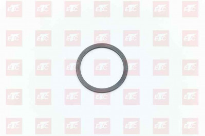 WG9981340057 Шайба упорная