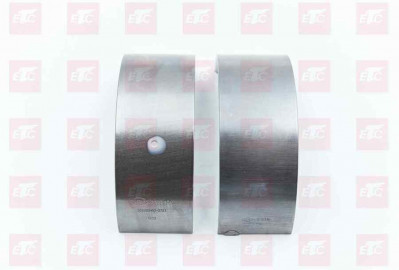 201V02410-6698 Вкладыши шатунные