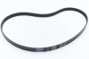 Ремень генератора 612630061037, миниатюра — 0