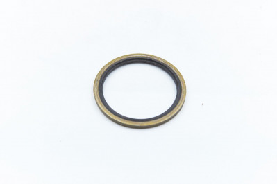 612600150106 Шайба