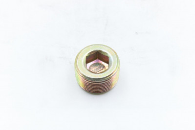 81903100179 Пробка резьбовая М24*1,5