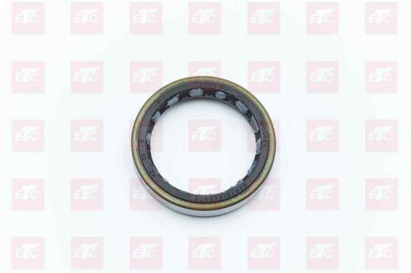 WG9761349008 Сальник — 1