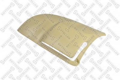 8715230SX Дефлектор кабины прав.