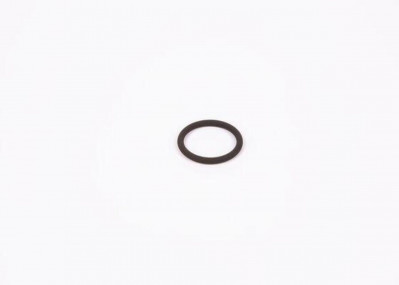 F00RJ00534 Кольцо уплотнительное форсунки