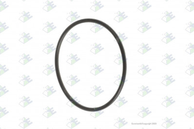 ER 74171008 Кольцо