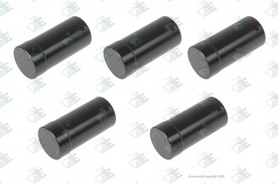 ER 95534252 Палец планетарной передачи