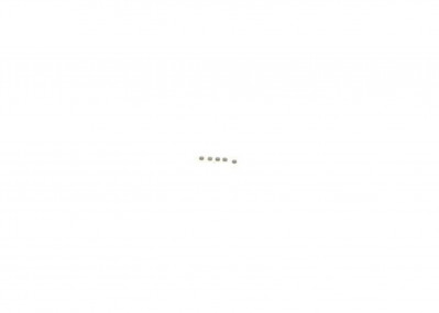 F00ZC99724 Шайба регулировочная 1,02 мм