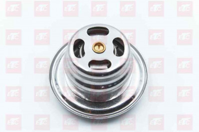 1118010 Термостат