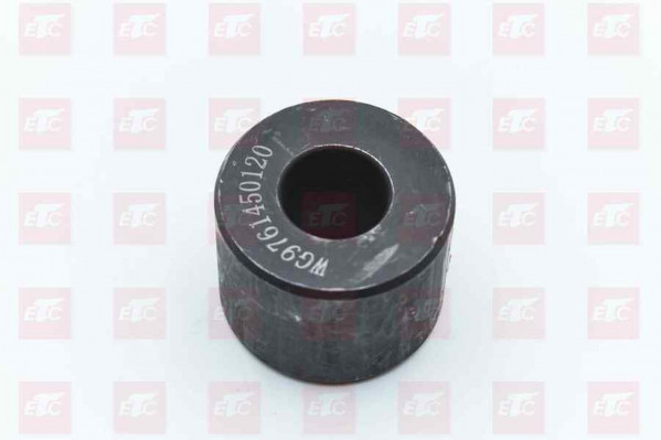 WG9761450120 Ролик тормозной колодки — 1