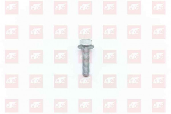 MQ6-03216-8306 Шестигранный фланцевой болт — 1