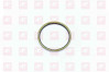 WG4095415011 Одностороннее уплотнительное кольцо, миниатюра — 0