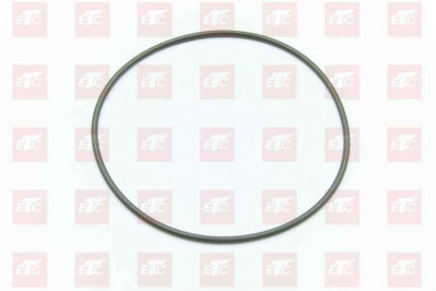 MQ6-56939-0068 Кольцо уплотнительное 108*3