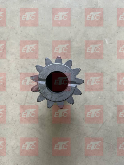 2020720474 Сателлит ДКП