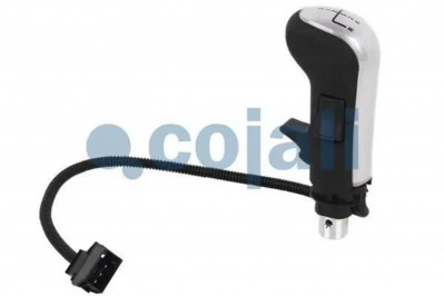 2880235 Ручка рычага кпп электр.