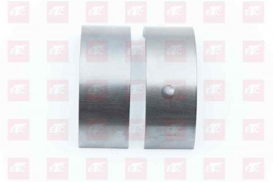 201V02410-6698 Вкладыши шатунные