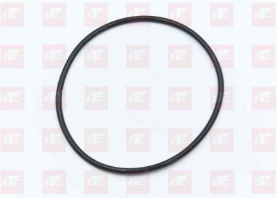 УПЛОТНИТЕЛЬНОЕ КОЛЬЦО