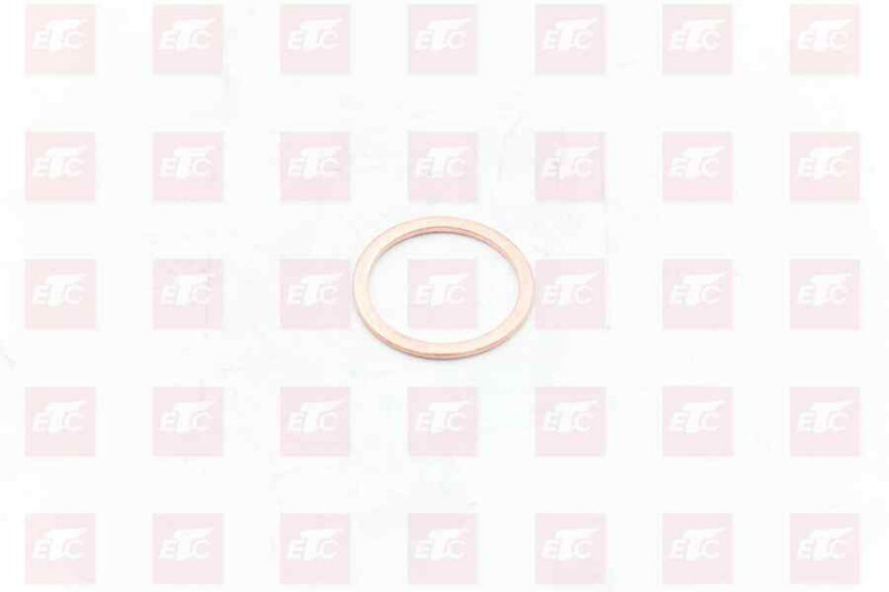 190003098026 Уплотнительное кольцо — 1