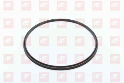 WG7121345015 Кольцо ступицы задней