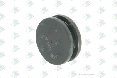 ER 56170224 Поршень цилиндра РКП