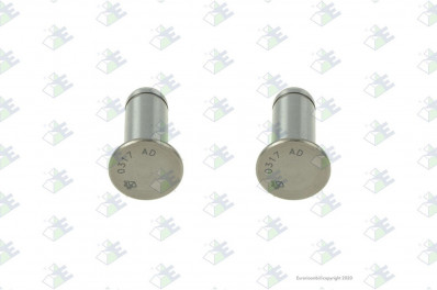 ER 74530077 Палец вилки