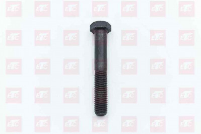 S50B12075D Болт M12*1,75*75