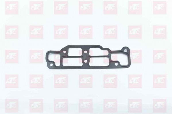 201V06904-0042 Уплотнительная прокладка корпуса термостата — 1