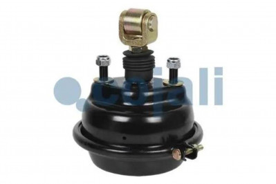 2251116 Камера тормозная подьема оси