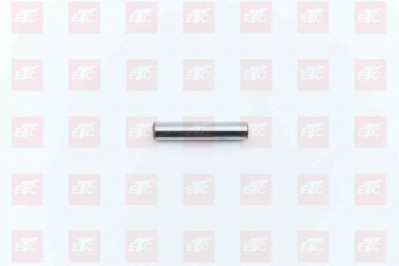 WG9981340056  РОЛИК ОСИ ПЛАНЕТАРНОЙ ШЕСТЕРНИ