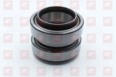 PT58186301AM Подшипник задней ступицы 170*110*146